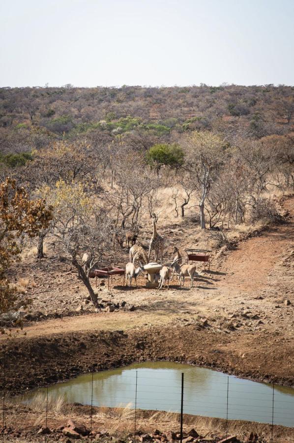 Vila Tholo Manzi Private Game Farm Zeerust Exteriér fotografie