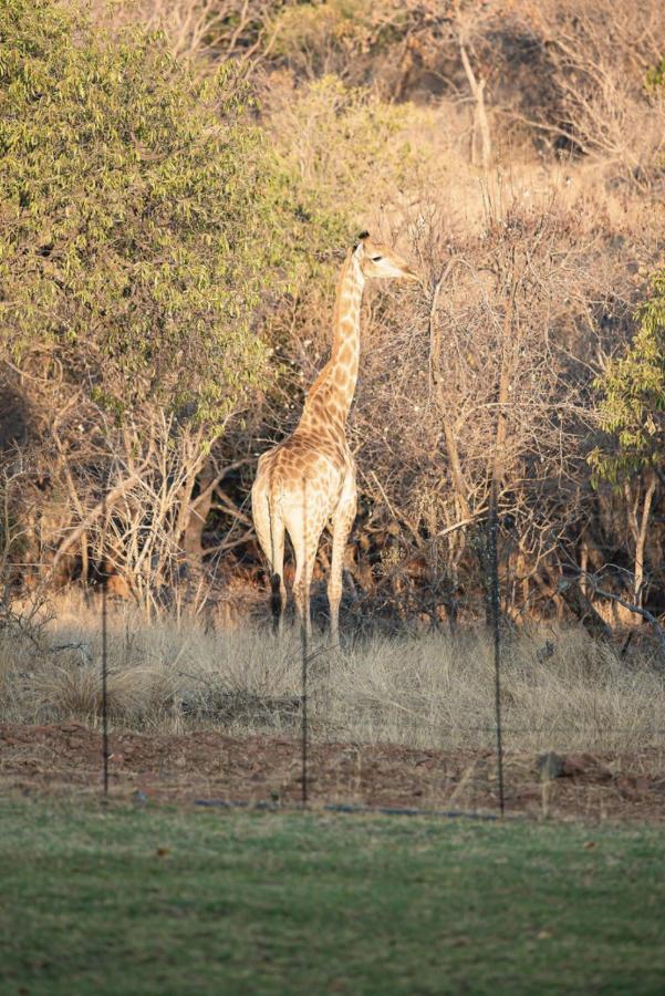 Vila Tholo Manzi Private Game Farm Zeerust Exteriér fotografie